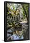 Essential Black