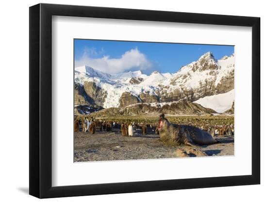 Photographic Print, , large