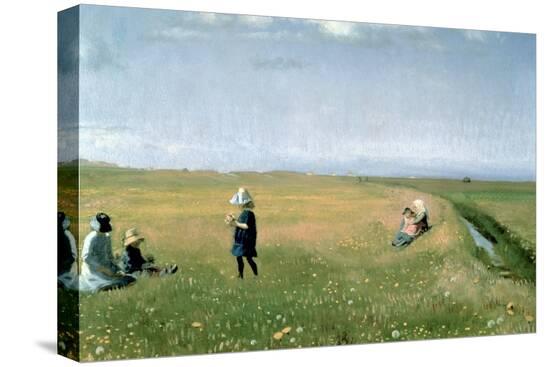 Stretched Canvas Print, , large