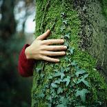 Tree Hugger-Michael Prince-Photographic Print