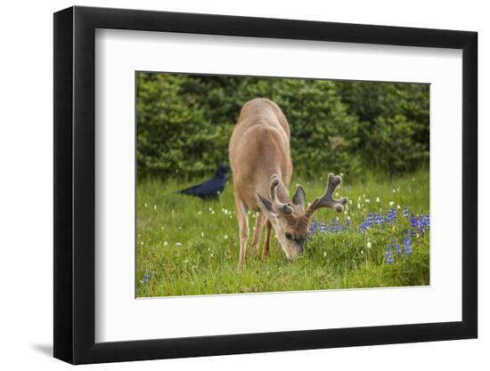 Premium Photographic Print, , large