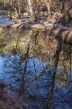 Reflections in Oak Creek at Low Water-Michael Qualls-Photographic Print