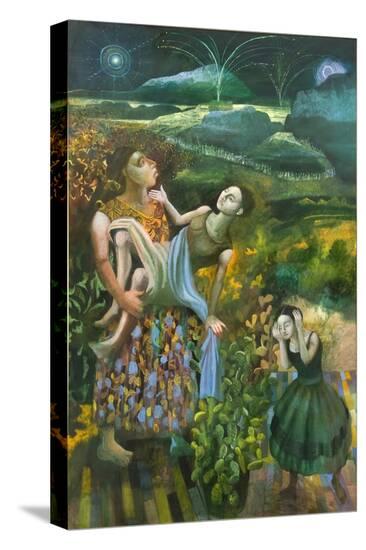 Stretched Canvas Print, , large