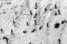 Emperor Penguins, Antarctica-Michael Rougier-Photographic Print