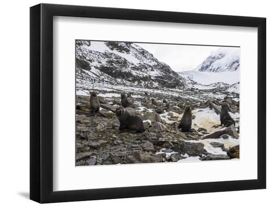 Photographic Print, , large