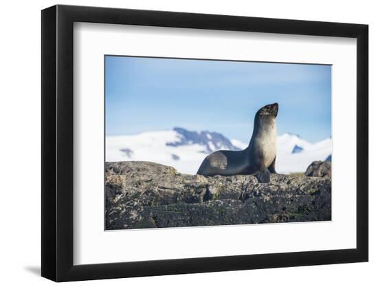 Photographic Print, , large