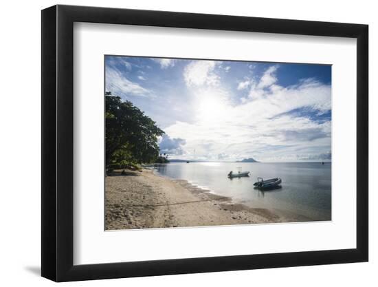 Premium Photographic Print, , large