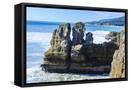 Framed Canvas