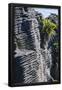 Essential Black