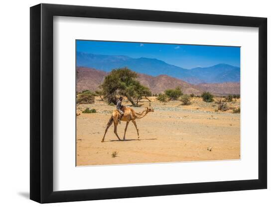 Premium Photographic Print, , large
