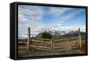 Framed Canvas