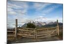 Wood Mount
