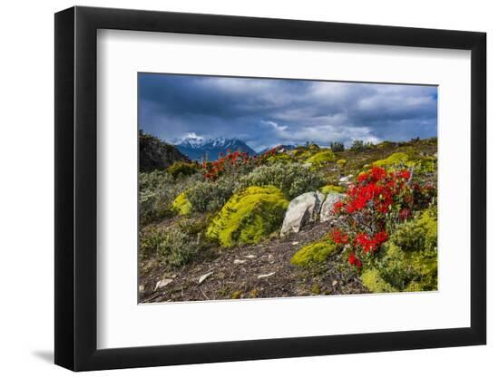 Premium Photographic Print, , large