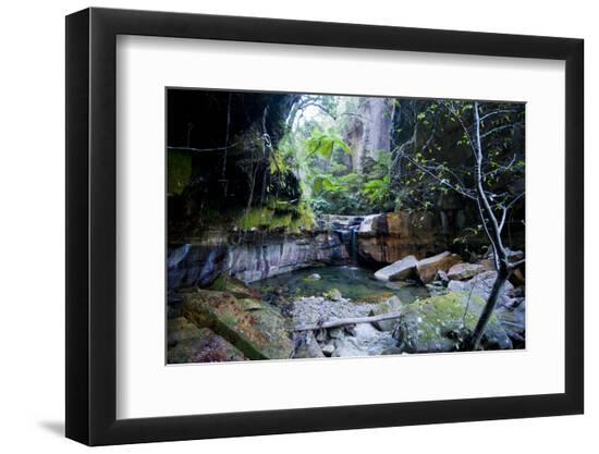 Premium Photographic Print, , large