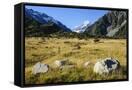 Canvas Black