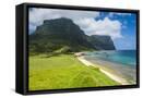 Framed Canvas