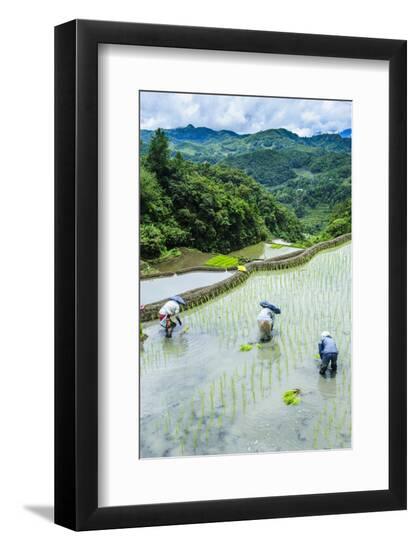 Premium Photographic Print, , large