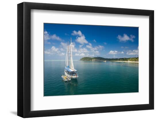 Premium Photographic Print, , large