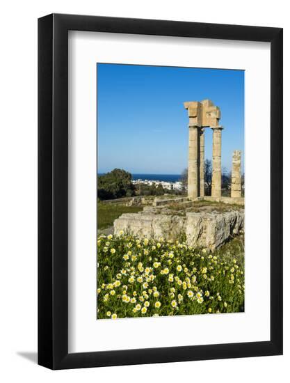 Premium Photographic Print, , large