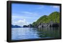 Essential Black
