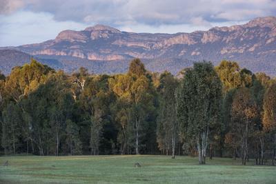 The Cliffs of the Grampians National Park at Sunset, Victoria, Australia, Pacific