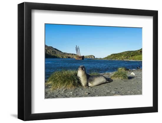 Photographic Print, , large