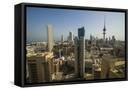 Framed Canvas