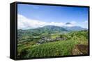 Canvas Black