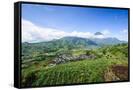 Canvas Black