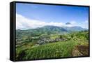 Canvas Black