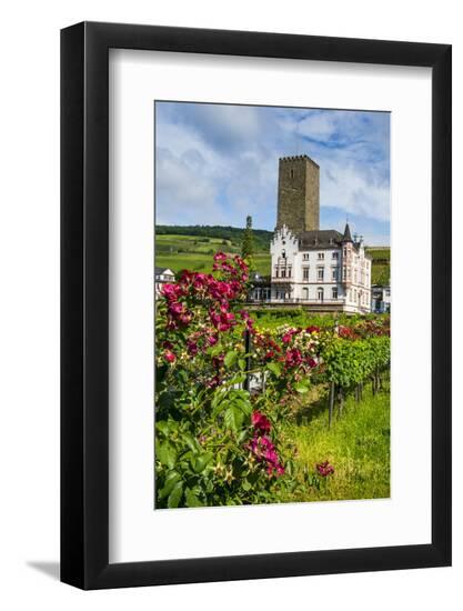 Premium Photographic Print, , large