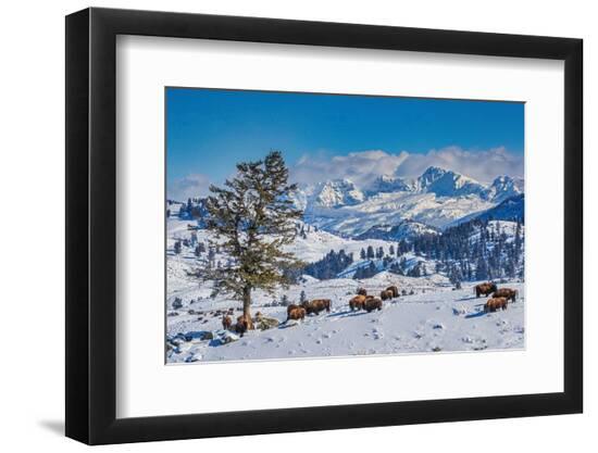 Premium Photographic Print, , large