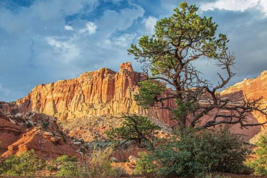 Premium Photographic Print, , large