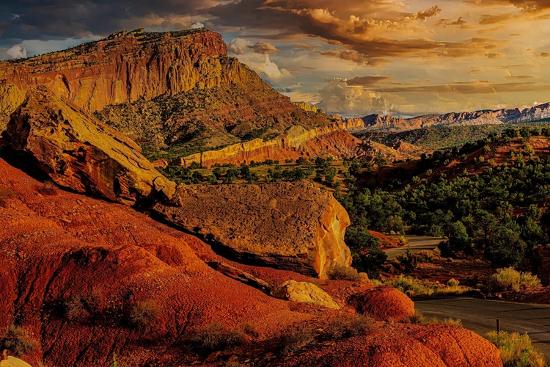 Premium Photographic Print, , large