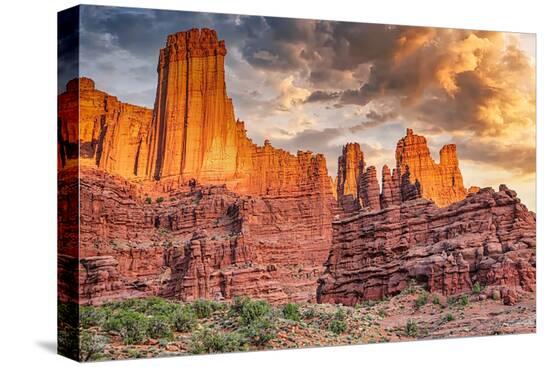Stretched Canvas Print, , large