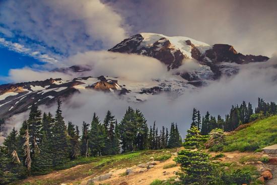 Premium Photographic Print, , large