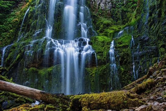 Premium Photographic Print, , large