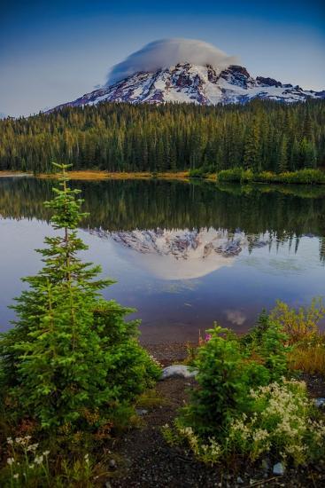 Photographic Print, , large