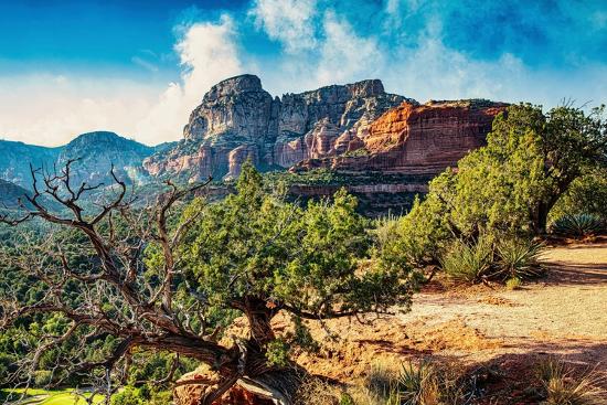 Premium Photographic Print, , large