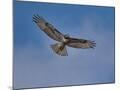 Wood Mount