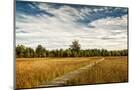 Wood Mount