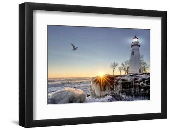 Premium Photographic Print, , large