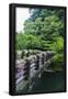 Essential Black