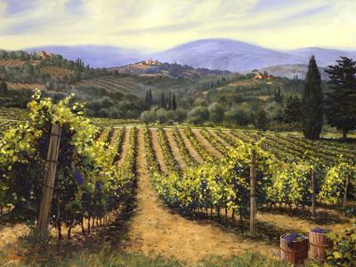 Tuscany Vines
