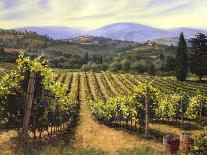 Tuscan Evening-Michael Swanson-Art Print