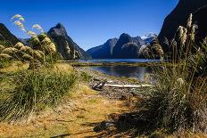 The Steep Cliffs of Milford Sound-Michael-Photographic Print