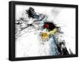 Essential Black