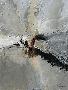 Laminate