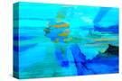 Stretched Canvas