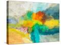 Stretched Canvas